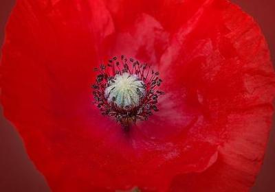 被需要的名言(推荐80句) 被需要的名言(推荐80句)