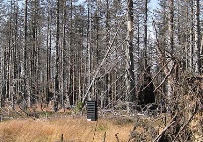 赞美老师的诗句和名言(共60句) 赞美老师的诗句和名言(共60句)