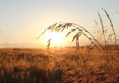 简短名言名句(推荐50句)