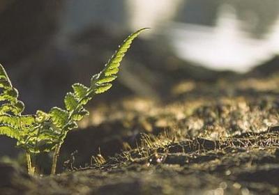 禁毒名言名句(共70句)