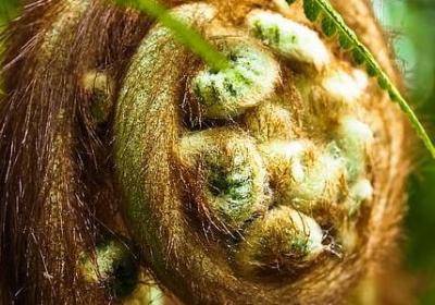 磨难的名人名言(合集60句)