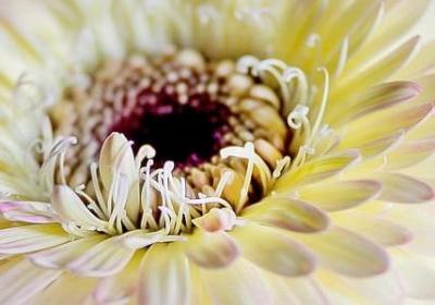 英语名言100句(必备80句) 英语名言100句(必备80句)