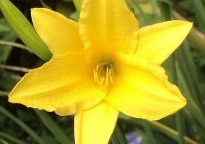 稻盛和夫名言(80句) 稻盛和夫名言(80句)