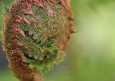 美国名人名言(优选98句)