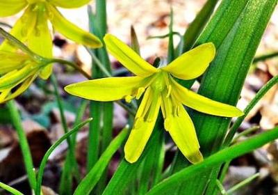 范仲淹的名言(热门20句)