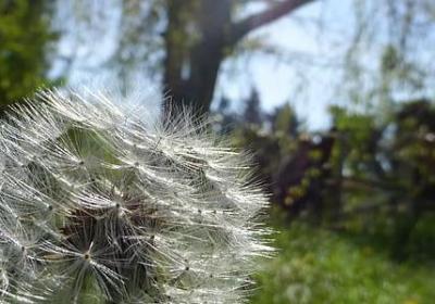 红楼梦名言名句(必备20句) 红楼梦名言名句(必备20句)