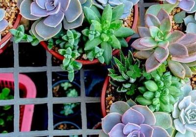 自信的名言名句(共20句) 自信的名言名句(共20句)