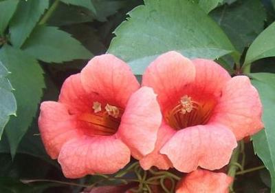 自信名人名言(通用20句) 自信名人名言(通用20句)