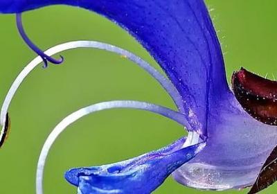 禁毒名人名言(共20句) 禁毒名人名言(共20句)