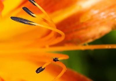 科学名言名句(推荐20句) 科学名言名句(推荐20句)