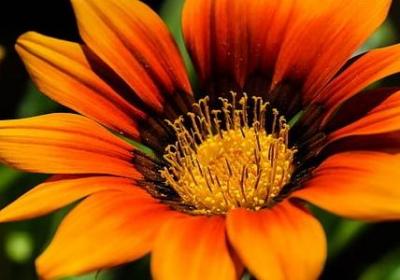 经典英文名言(精选50句)