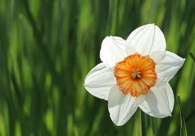 芭蕾经典语录(热门20句)