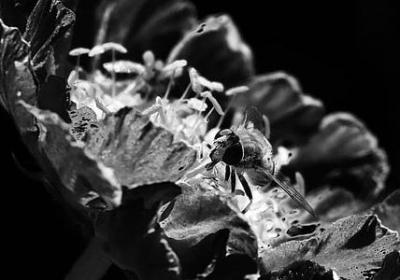 社会治理名言(60句)