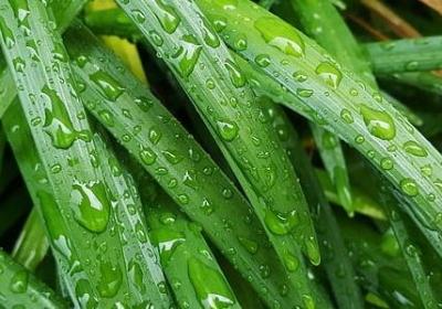 细节决定成败的名言(通用80句)