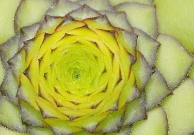 节约用水的名言(合集40句)