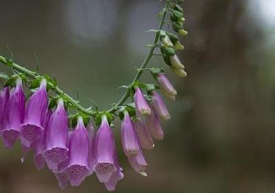英语励志名言短句霸气(实用120句) 英语励志名言短句霸气(实用120句)
