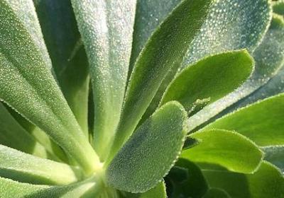 英语名言简短(共159句) 英语名言简短(共159句)