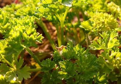 管理名言名句大全(通用60句) 管理名言名句大全(通用60句)