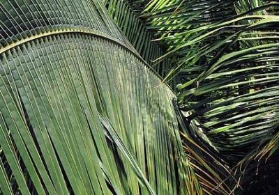 积极进取的名言(精选40句) 积极进取的名言(精选40句)