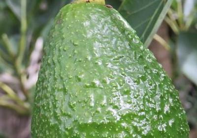 经典古语名言(118句) 经典古语名言(118句)