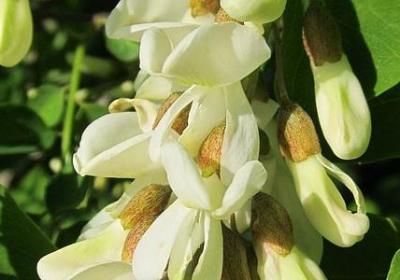 英语至理名言(通用40句) 英语至理名言(通用40句)