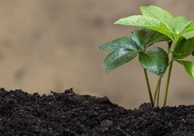 苏霍姆林斯基教育名言(推荐69句) 苏霍姆林斯基教育名言(推荐69句)