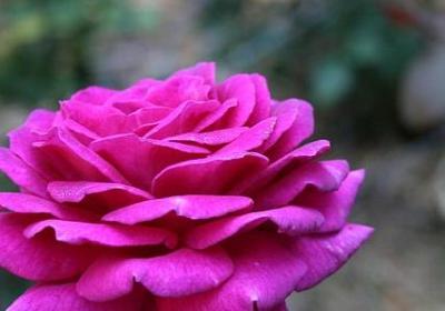 自我挑战的名言(合集40句) 自我挑战的名言(合集40句)