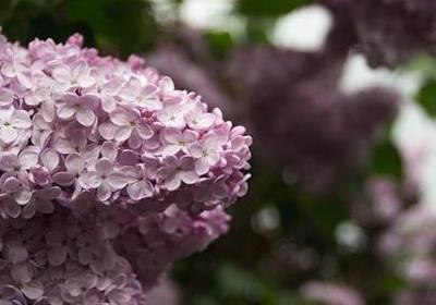 职业道德的名言(精选70句)