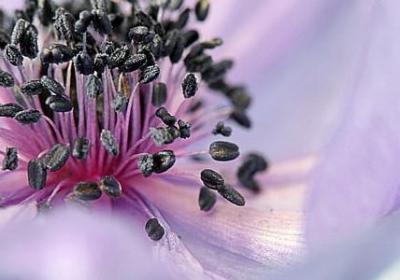 简爱的名人名言(汇总20句)