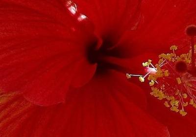 西点军校名言(共45句) 西点军校名言(共45句)