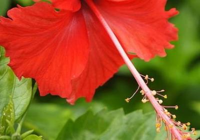 金钱名言警句(共80句) 金钱名言警句(共80句)