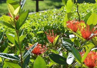 观察发现的名言(118句) 观察发现的名言(118句)