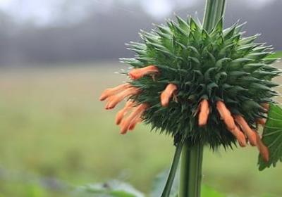 节日心情语录(实用60句)