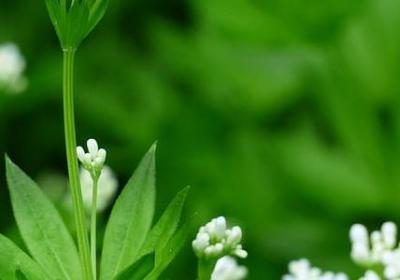 足球名人名言(共78句) 足球名人名言(共78句)