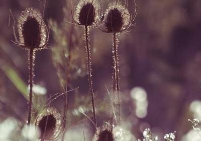 行动力的名言(热门95句) 行动力的名言(热门95句)