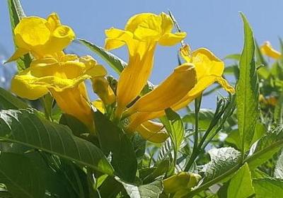 金句名言短句励志(实用40句) 金句名言短句励志(实用40句)