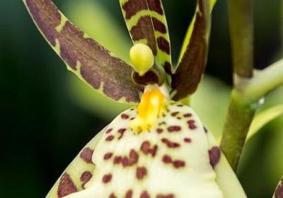 诚实守信的名言(合集10句) 诚实守信的名言(合集10句)