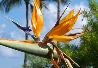 谦让的名言警句(汇总70句) 谦让的名言警句(汇总70句)