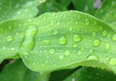 转变思维的名言(优选82句)