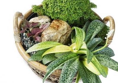 苏霍姆林斯基名言(通用20句)