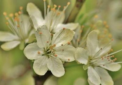 英文励志名言短句(合集59句)