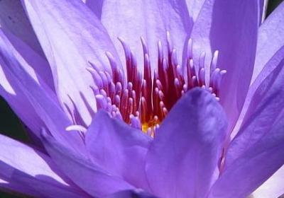 著名的名言警句(热门80句)