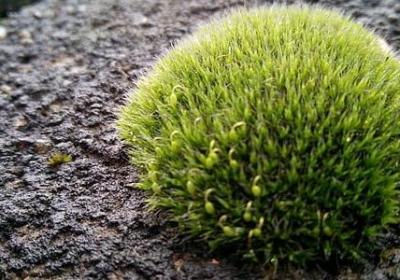 自律的励志名言(通用100句)