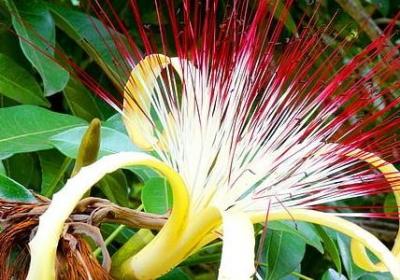 莎士比亚的名人名言(必备35句)