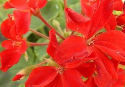 细节的名言警句(通用79句)