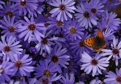 英语励志名言(优选98句)