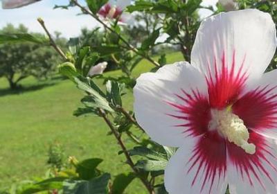 自强的名人名言(共33句) 自强的名人名言(共33句)