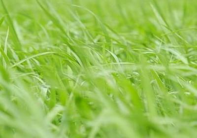 经济发展的名言(40句) 经济发展的名言(40句)