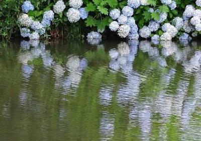 英语名言谚语(40句) 英语名言谚语(40句)