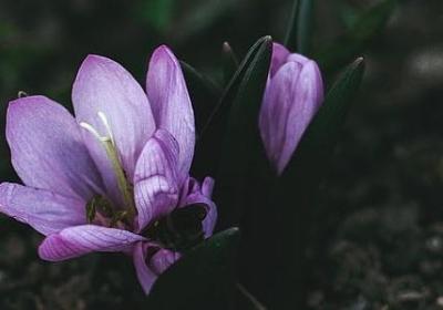 端午节的名言(共20句)